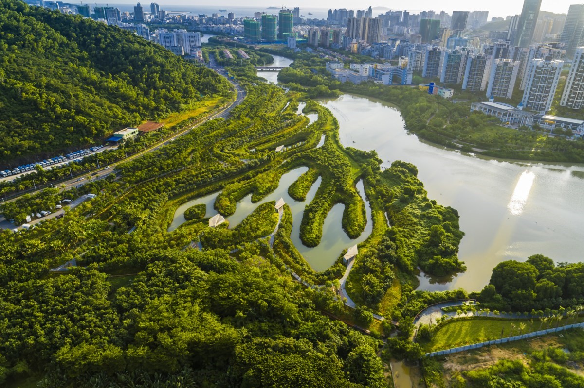 Meet the landscape architect turning cities into sponges | DeviceDaily.com