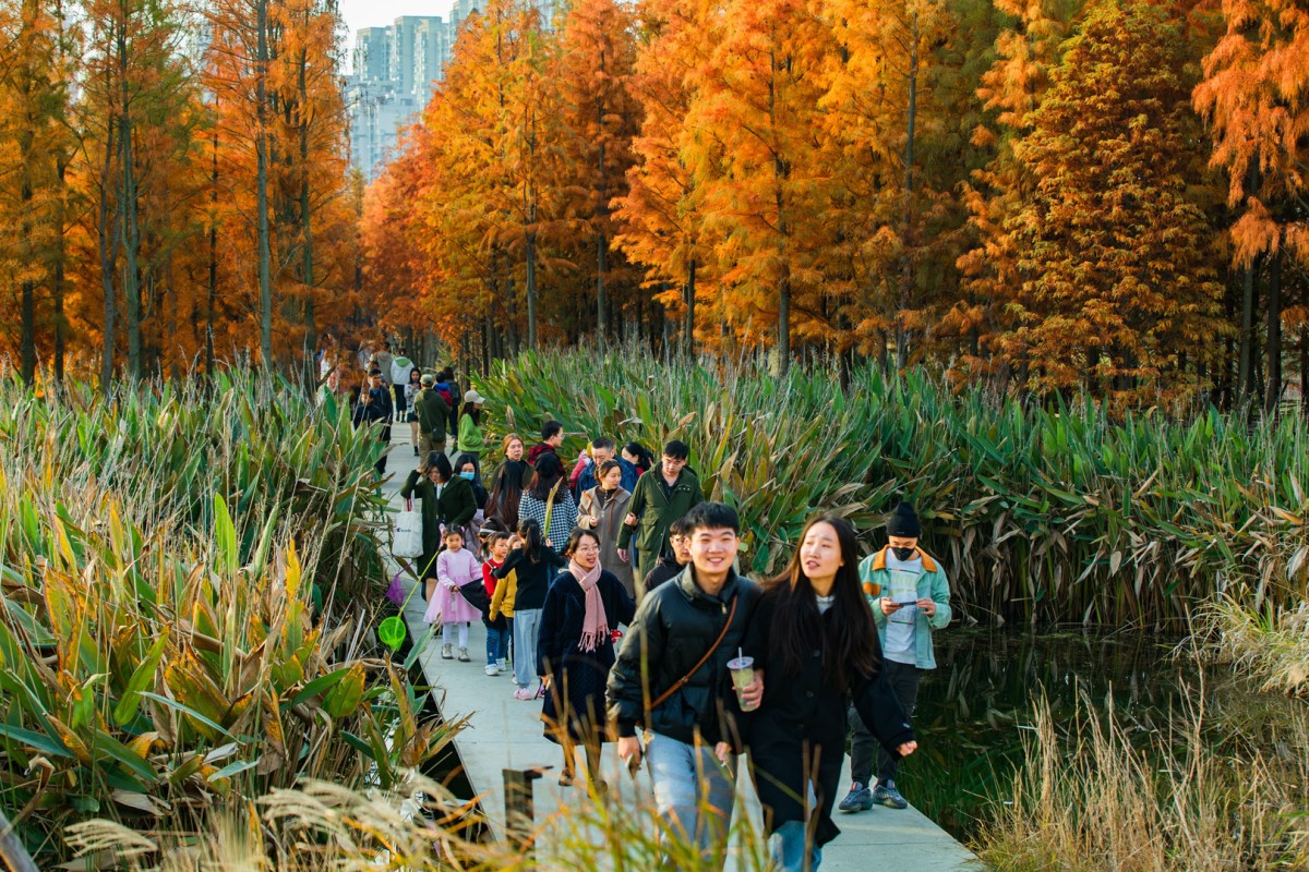 Meet the landscape architect turning cities into sponges | DeviceDaily.com