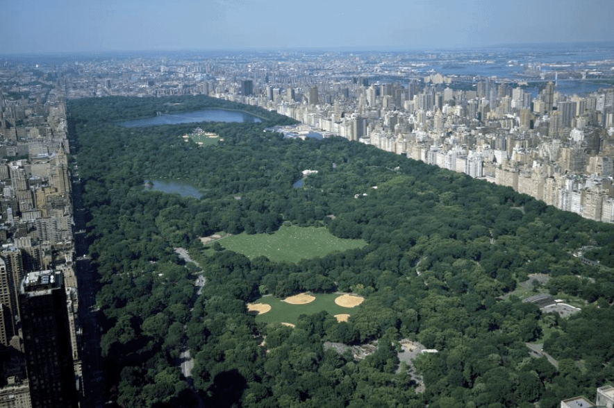 Bird backlash: NYC says drone show will continue as planned despite peak migration season | DeviceDaily.com