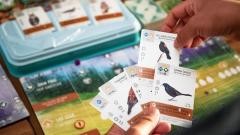 The best board games to gift this 2023 holiday season | DeviceDaily.com