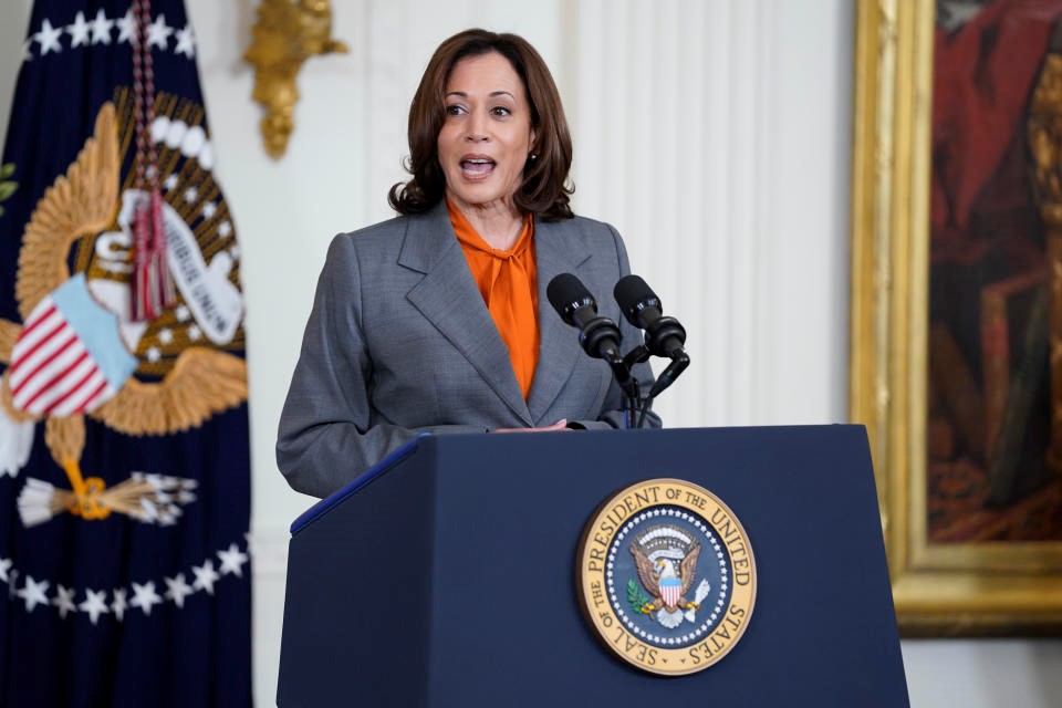 Kamala Harris announces AI Safety Institute to protect American consumers | DeviceDaily.com