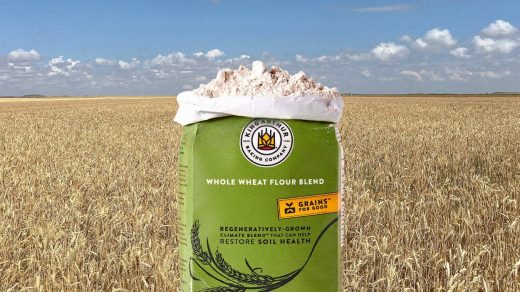 Ready for holiday baking? King Arthur wants you to try its new regeneratively grown flour