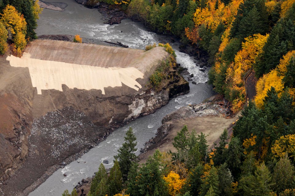 What happened to Washington's wildlife after the largest dam removal in US history | DeviceDaily.com What happened to Washington's wildlife after the largest dam removal in US history | DeviceDaily.com