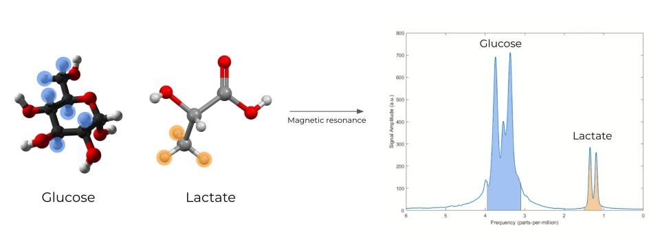 Researchers use magnetic fields for non-invasive blood glucose monitoring | DeviceDaily.com