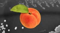 Listeria fruit outbreak: Contaminated peaches, plums, and nectarines leave one dead, more hospitalized, says CDC