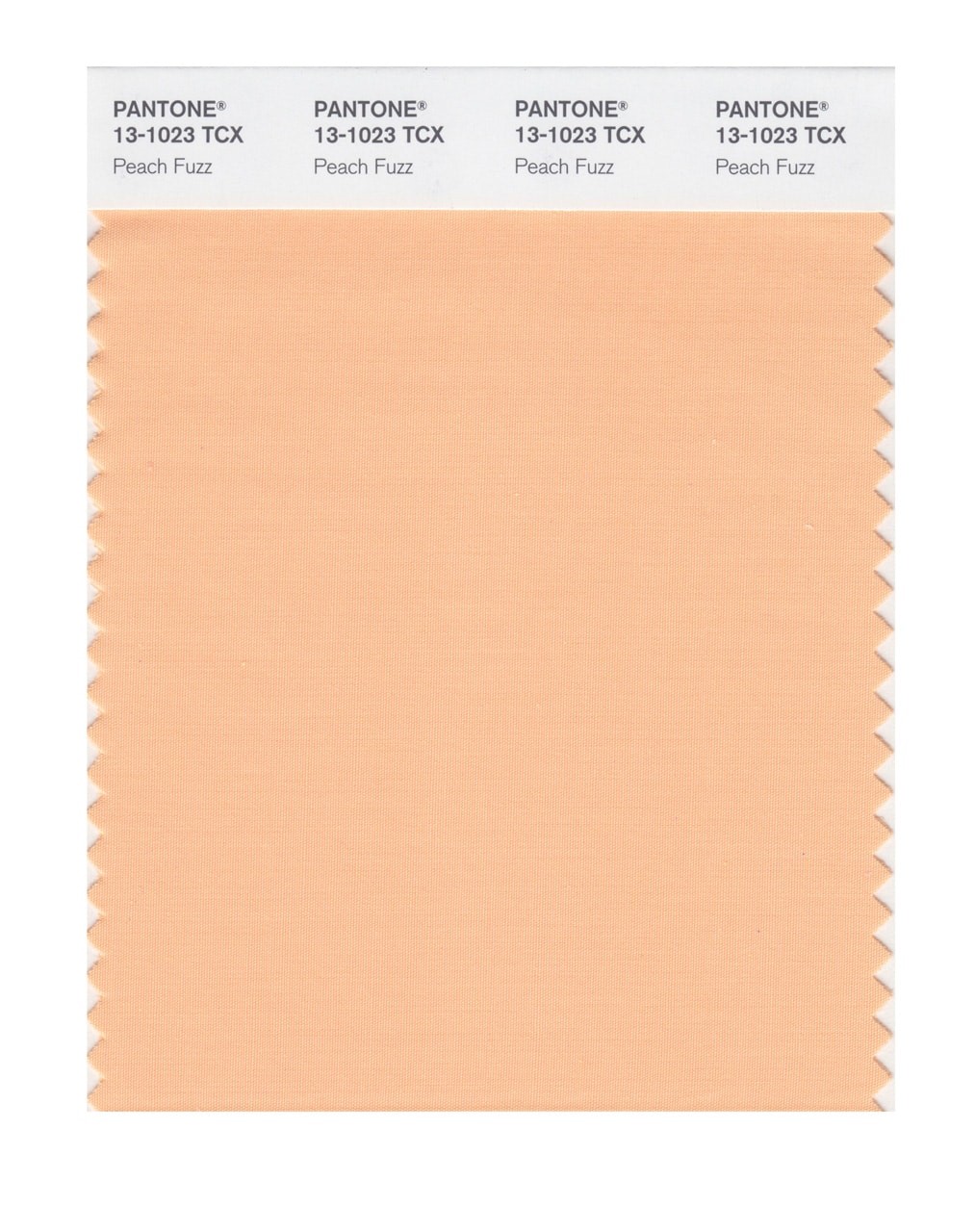 Pantone’s 2024 Color of the Year is everything 2023 was not | DeviceDaily.com