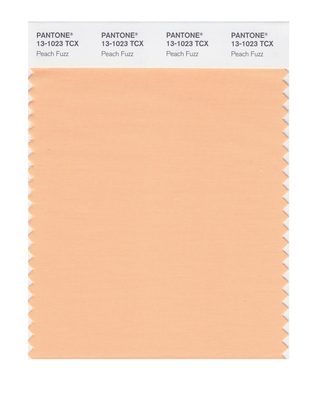 Pantone’s 2024 Color of the Year is everything 2023 was not | DeviceDaily.com Pantone’s 2024 Color of the Year is everything 2023 was not | DeviceDaily.com