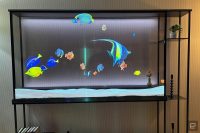 Samsung debuts the world’s first transparent MicroLED screen at CES 2024