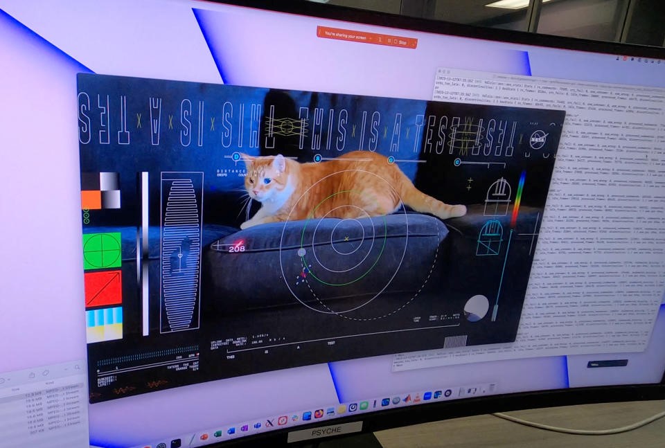 NASA beamed a video of a cat named Taters from deep space to Earth | DeviceDaily.com