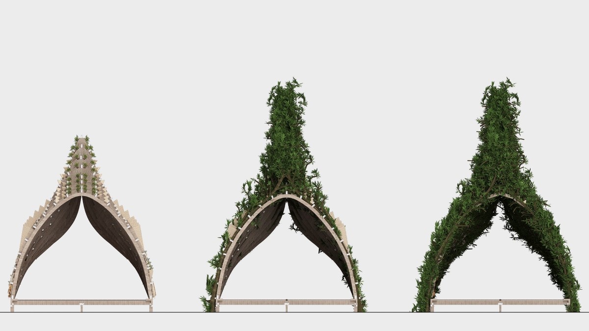 This building made of growing trees could change the way we think about architecture | DeviceDaily.com