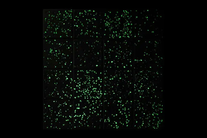 A terrazzo tile that glows in the dark? Yes, please | DeviceDaily.com A terrazzo tile that glows in the dark? Yes, please | DeviceDaily.com
