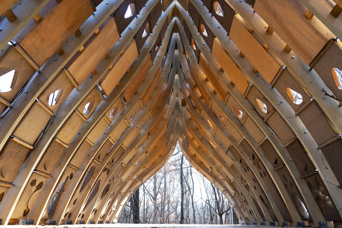 This building made of growing trees could change the way we think about architecture | DeviceDaily.com