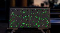 A terrazzo tile that glows in the dark? Yes, please