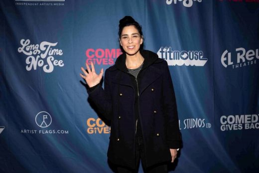 Sarah Silverman’s copyright infringement suit against OpenAI will advance in pared-down form