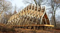 This building made of growing trees could change the way we think about architecture