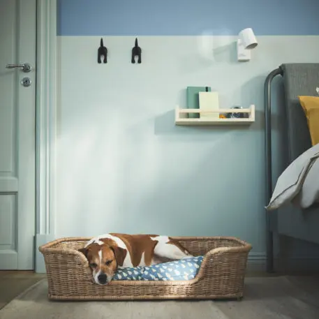 Ikea designed a new collection of beds, bowls, and toys for your pet. But only if they’re a good boy | DeviceDaily.com