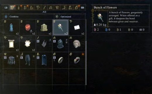 How to get a bunch of flowers in Dragon’s Dogma 2
