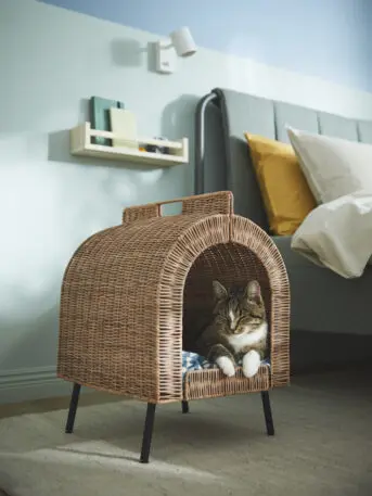 Ikea designed a new collection of beds, bowls, and toys for your pet. But only if they’re a good boy | DeviceDaily.com