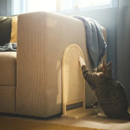Ikea designed a new collection of beds, bowls, and toys for your pet. But only if they’re a good boy | DeviceDaily.com