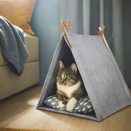 Ikea designed a new collection of beds, bowls, and toys for your pet. But only if they’re a good boy | DeviceDaily.com