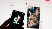 Europe—worried about AI risks like deepfakes and hallucinations—still has questions for Big Tech companies