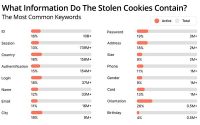 What Hackers Do With 54B Leaked Cookies