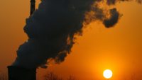 Carbon offsets are largely ineffective, says corporate climate action group