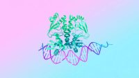 Google DeepMind’s latest medical breakthrough borrows a trick from AI image generators