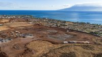 A year after the deadliest U.S. wildfire, survivors of Maui’s Lahaina fire struggle with housing