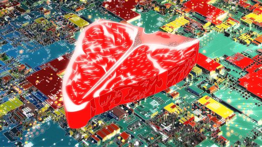 Fake meat’s false promise: Why Silicon Valley can’t hack the future of food