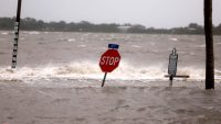 How hurricane storm surges work—and worsen with climate change