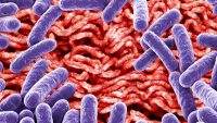 Ground beef recalled nationwide over risk of E. coli illness from burgers