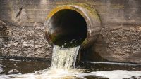 Climate change could be increasing sewage-associated viruses, new study shows