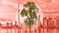 Toronto’s hottest tourist attraction is… a tree named Rodney