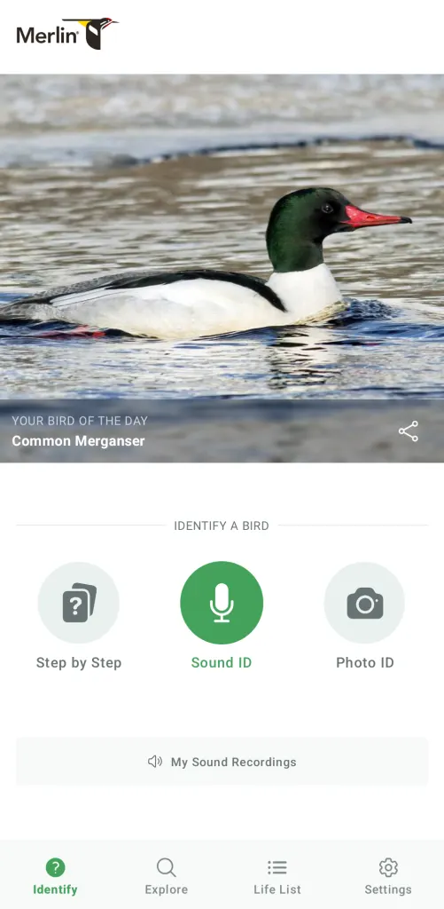 This free app is like Shazam for bird calls | DeviceDaily.com This free app is like Shazam for bird calls | DeviceDaily.com