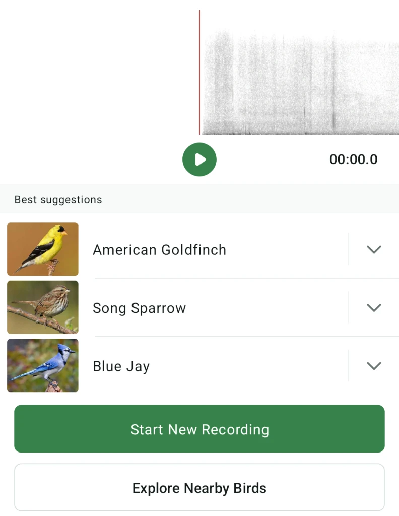 This free app is like Shazam for bird calls | DeviceDaily.com This free app is like Shazam for bird calls | DeviceDaily.com