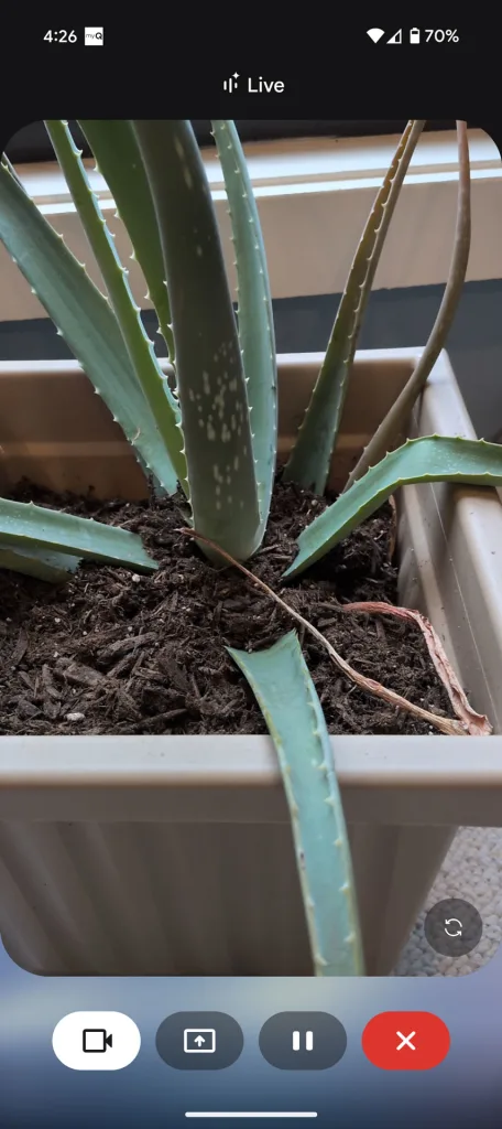 I tried doing everything with AI on a Pixel 9a, but it didn’t go as planned | DeviceDaily.com