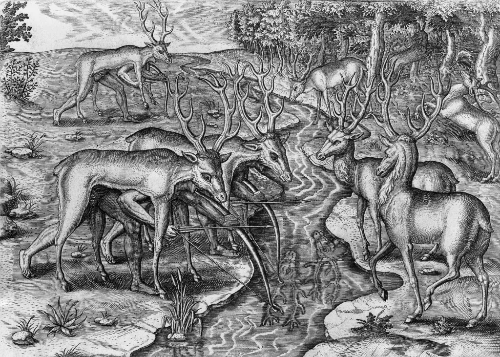 How white-tailed deer came back from the brink of extinction | DeviceDaily.com