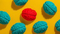 Why your brain matters more than ever in the AI age