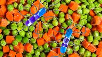 Frozen vegetables recalled over Listeria fears: Toss these bags of peas and carrots right now