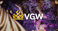 VGW partners with California tribe to expand social gaming reach