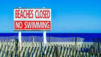 Why hundreds of beaches are telling swimmers to stay out of the water