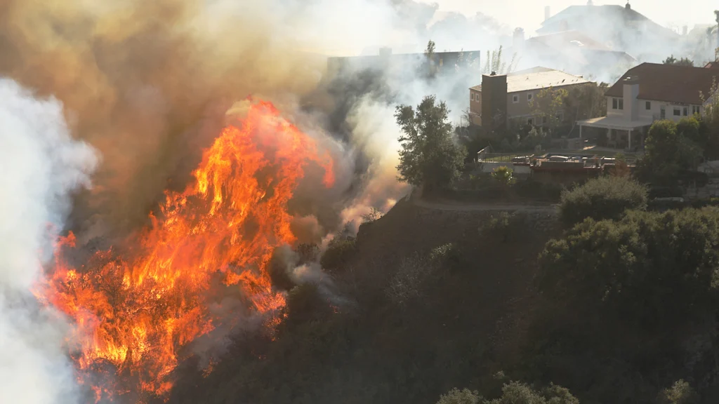 As Los Angeles rebuilds, a fight is brewing over landscaping rules designed to prevent future fires | DeviceDaily.com