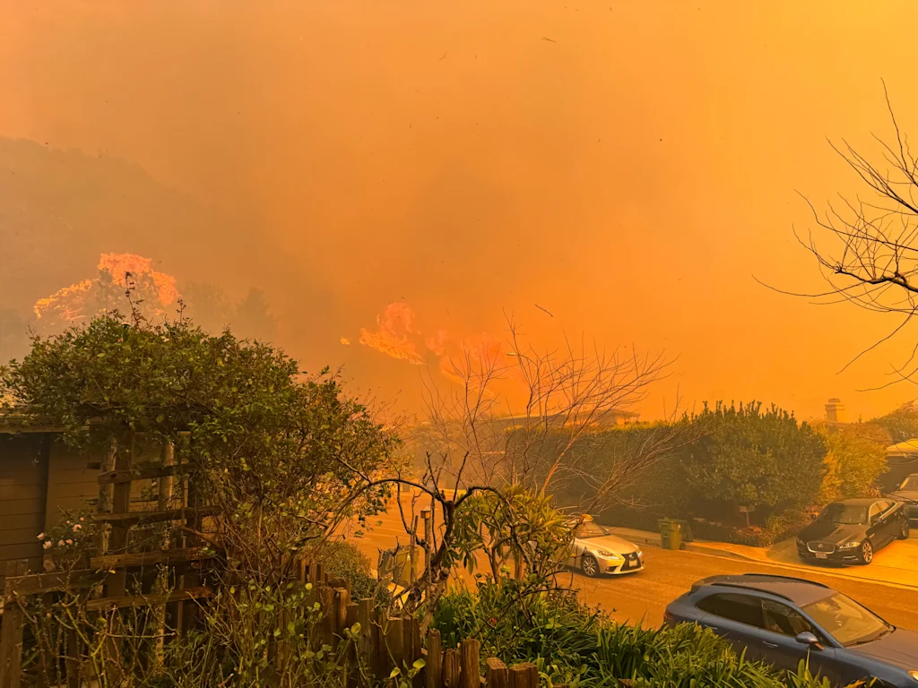 As Los Angeles rebuilds, a fight is brewing over landscaping rules designed to prevent future fires | DeviceDaily.com