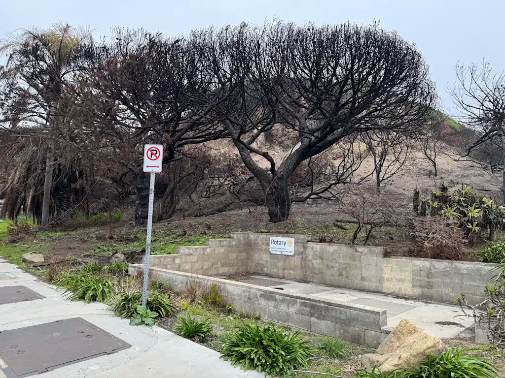 As Los Angeles rebuilds, a fight is brewing over landscaping rules designed to prevent future fires | DeviceDaily.com