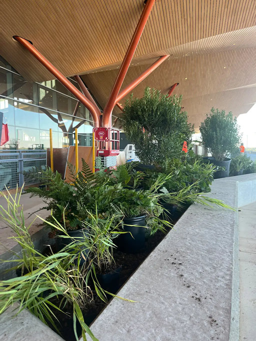 Pittsburgh’s airport just got a nature-focused makeover | DeviceDaily.com Pittsburgh’s airport just got a nature-focused makeover | DeviceDaily.com