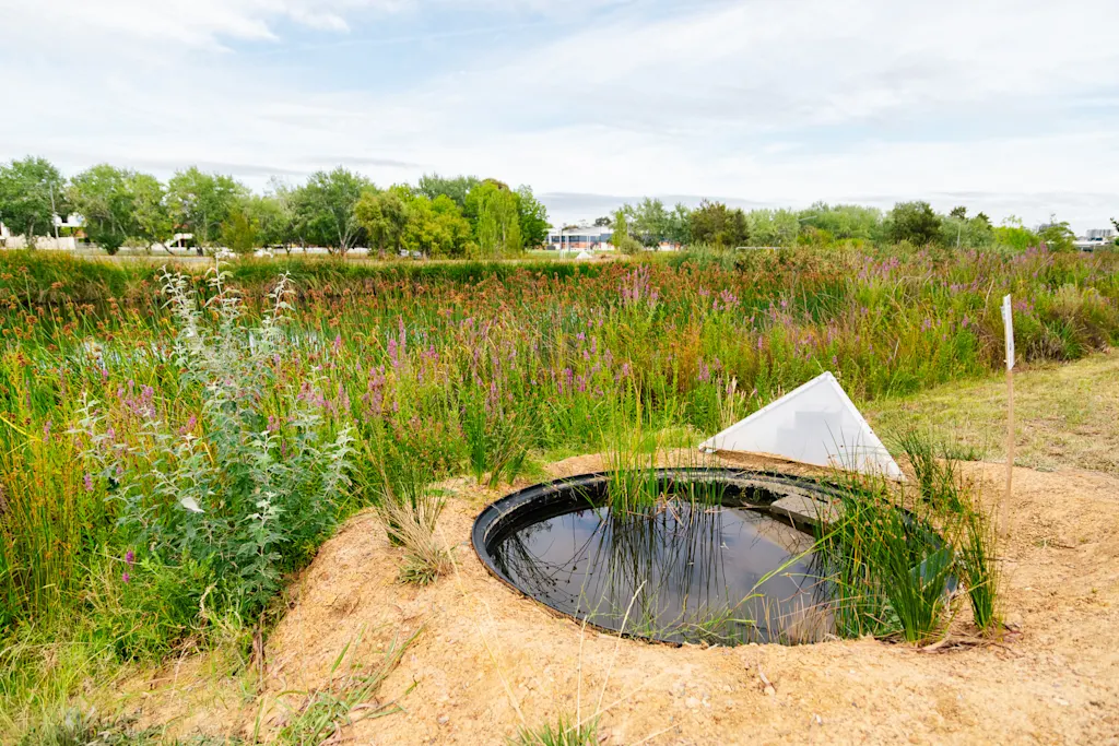 These saunas and spas for frogs could bring a species back from the brink of extinction | DeviceDaily.com