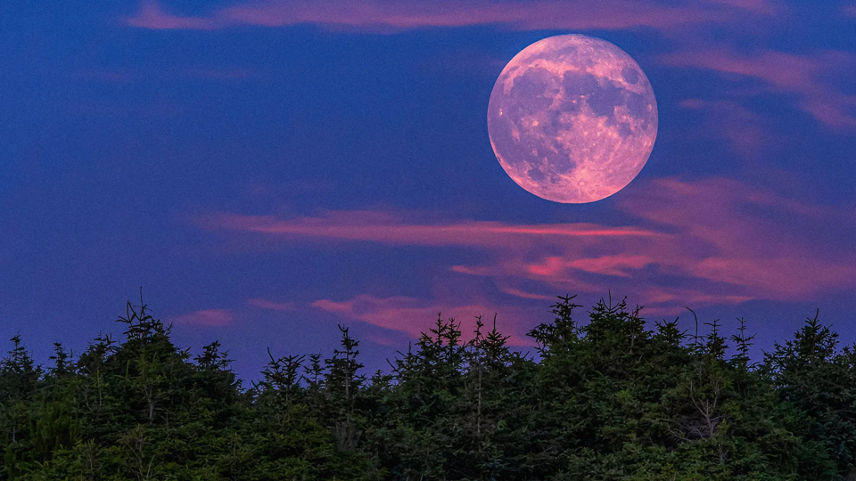 April 2026 full moon tonight: ‘Pink moon’ could rise alongside NASA Artemis II launch. Here’s when to look up | DeviceDaily.com