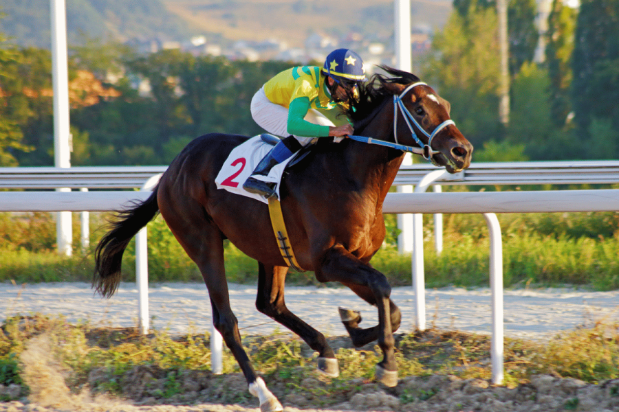 Chicago bankruptcy judge denies emergency hearing request in Hawthorne racetrack Chapter 11 | DeviceDaily.com Chicago bankruptcy judge denies emergency hearing request in Hawthorne racetrack Chapter 11 | DeviceDaily.com