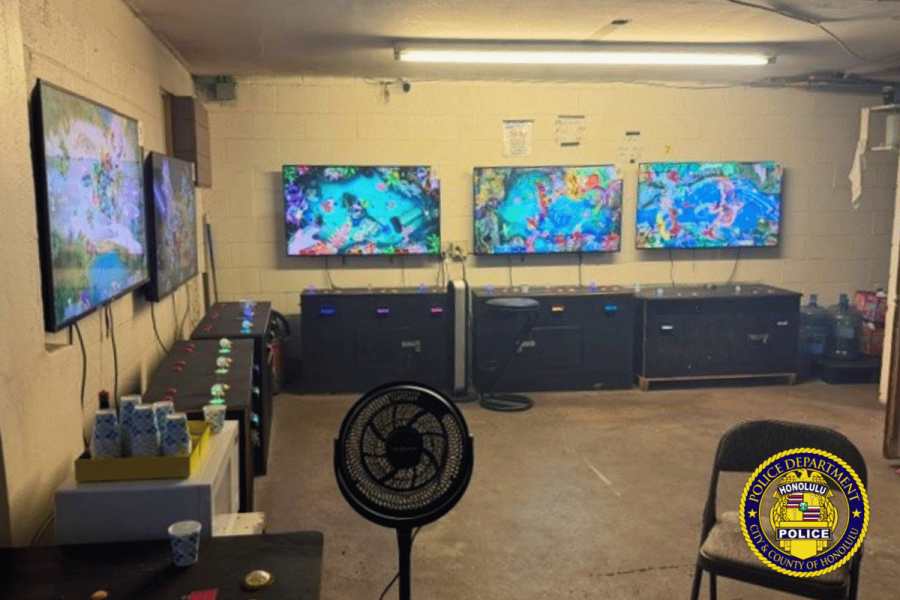 Honolulu police raid Kalihi illegal gambling room, arrest two suspects, seizing machines | DeviceDaily.com Honolulu police raid Kalihi illegal gambling room, arrest two suspects, seizing machines | DeviceDaily.com